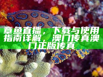 章鱼直播，下载与使用指南详解， 澳门传真澳门正版传真