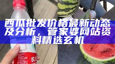 西瓜批发价格最新动态及分析， 管家婆网站 资料精选玄机