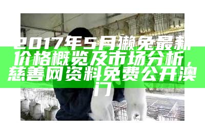 2017年5月獭兔最新价格概览及市场分析， 慈善网资料免费公开澳门